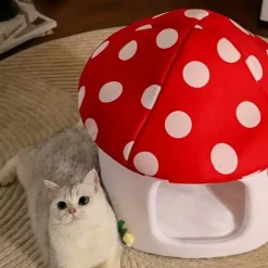 DOWNYPAWS - Lits Pour Chat En Forme De Champignon, Vache Et Chocolat