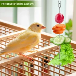 DOWNYPAWS - Mangeoire brochette perroquet lot de 2