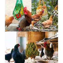 DOWNYPAWS - Mangeoire fruits légumes poulet lot 3 60cm