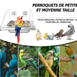 DOWNYPAWS - Mangeoire pour oiseaux - transparent cage mangeur perchoir antidérapant bol acier inoxydable remplissage facile
