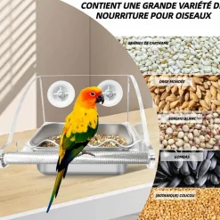 DOWNYPAWS - Mangeoire pour oiseaux - transparent cage mangeur perchoir antidérapant bol acier inoxydable remplissage facile
