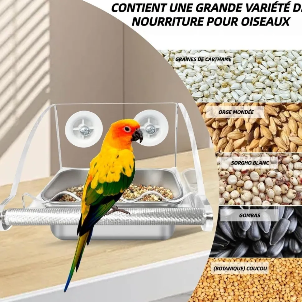 DOWNYPAWS - Mangeoire pour oiseaux - transparent cage mangeur perchoir antidérapant bol acier inoxydable remplissage facile