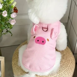 DOWNYPAWS - Mangeoires et ornements extérieurs pour oiseaux de différents styles