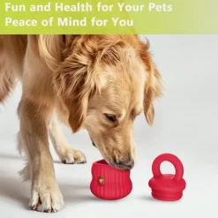 DOWNYPAWS - Mangeur lent de chien en silicone médical certifié fda rouge clair