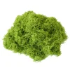 DOWNYPAWS - Mousse artificielle à grains fins pour gazon en pot 100 g vert foncé