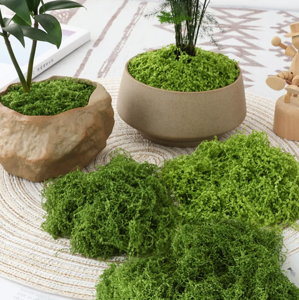 DOWNYPAWS - Mousse artificielle à grains fins pour gazon en pot 100 g vert foncé
