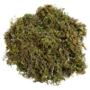 DOWNYPAWS - Mousse sèche naturelle de qualité supérieure 500g