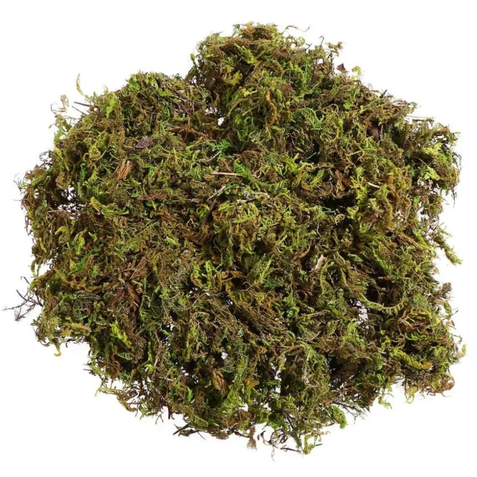 DOWNYPAWS - Mousse sèche naturelle de qualité supérieure 1000g