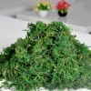 DOWNYPAWS - Mousse sèche, qualité supérieure, pour décoration, matériau pour couronnes et miniatures 100g