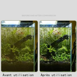 DOWNYPAWS - Nettoyeur et grattoir à algues aquarium