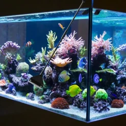 DOWNYPAWS - Nettoyeur pour aquarium - poignée 62cm