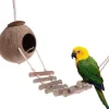 DOWNYPAWS - Nid d'oiseau naturel en coquille de noix de coco avec corde