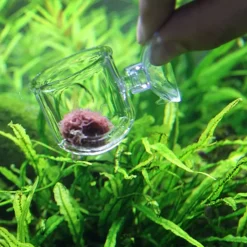 DOWNYPAWS - Nourrisseur plantes aquatiques - 2 tasses