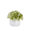 DOWNYPAWS - Plantes vertes artificielles en pot fleurs artificielles komatsu blanches