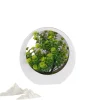 DOWNYPAWS - Plantes vertes artificielles fleurs en plastique créatives avec décoration de bureau lumineuse
