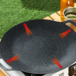 DOWNYPAWS - Plaques de barbecue portables en roche maifanite d.30 cm