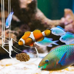 DOWNYPAWS - Plateau de nourriture transparent pour aquarium & crevettes m