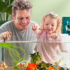 DOWNYPAWS - Plateau de nourriture transparent pour aquarium & crevettes m
