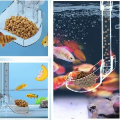 DOWNYPAWS - Plateau de nourriture transparent pour aquarium & crevettes m