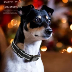 DOWNYPAWS - Réfléchissant collier pour chien