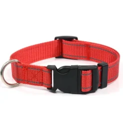DOWNYPAWS - Réfléchissant collier pour chien