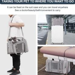 DOWNYPAWS - Sac de transport pour chat, portable et pliable bleu taille l downypaws