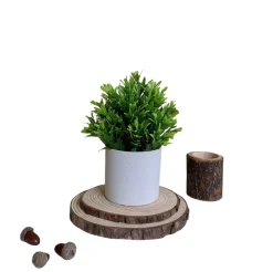 DOWNYPAWS - Simulation de plantes vertes en pot simulation de chrysanthème