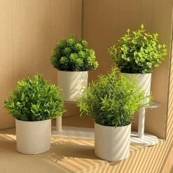 DOWNYPAWS - Simulation de plantes vertes en pot simulation de souchet