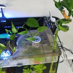 DOWNYPAWS - Support d'angle d'aquarium - avec support pour plantes, adapté à la plupart des aquariums