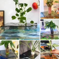 DOWNYPAWS - Support d'angle d'aquarium - avec support pour plantes, adapté à la plupart des aquariums