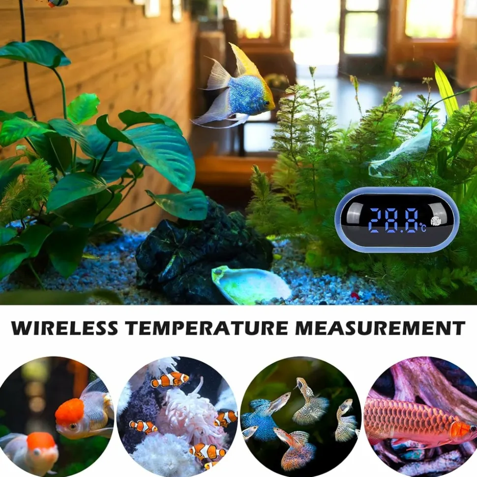 DOWNYPAWS - Thermomètre aquarium led tactile - grand écran