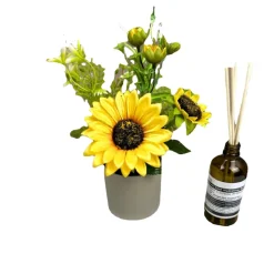 DOWNYPAWS - Tournesol artificiel de haute qualité de type b