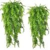DOWNYPAWS - Vignes artificielles d'asperges pour suspension