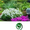 DTOPBUYAGE - Bande de bordure en pierre d'herbe 3,8 cm x 5 cm x 1 m dtopbuyage