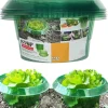 DTOPBUYAGE - Couvertures pour légumes renforcées dtopbuyage
