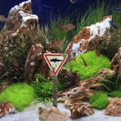 DTOPBUYAGE - Décorations mini en résine pour aquarium