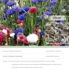 DTOPBUYAGE - Dtopbuyage - graines de bleuet 100 gélules
