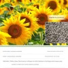 DTOPBUYAGE - Dtopbuyage - graines de tournesol 100 pièces
