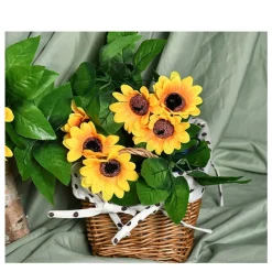 DTOPBUYAGE - Dtopbuyage - tournesol à grosses têtes - 2 pièces
