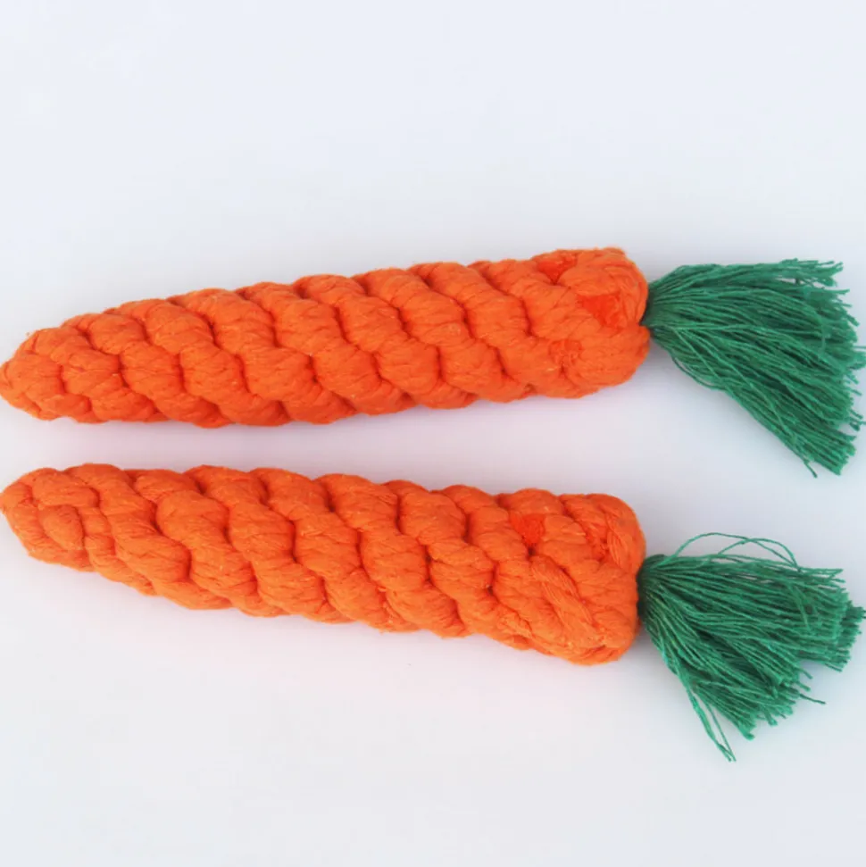 DTOPBUYAGE - Dtopbuyage jouet de carotte tressée pour chienslot de 2