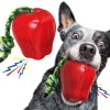 DTOPBUYAGE - Dtopbuyage jouets pour chien - indestructibles, en caoutchouc dur