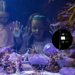 DTOPBUYAGE - Ensemble outils nettoyage aquarium polyvalent