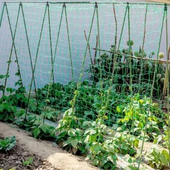 DTOPBUYAGE - Filet de jardin pour plantes grimpantes 1.8*3.6 m dtopbuyage