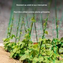 DTOPBUYAGE - Filet de jardin pour plantes grimpantes 2*3 m dtopbuyage