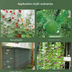 DTOPBUYAGE - Filet de jardin pour plantes grimpantes 2*3 m dtopbuyage
