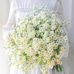 DTOPBUYAGE - Fleur simulée de camomille pour décoration dtopbuyage
