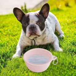 DTOPBUYAGE - Gamelle pliable pour chien en voyage dtopbuyage