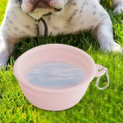 DTOPBUYAGE - Gamelle pliable pour chien en voyage dtopbuyage