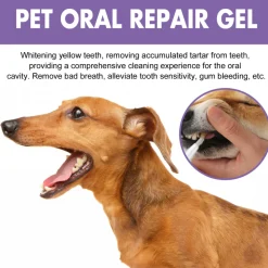 DTOPBUYAGE - Gel de soin buccal pour animaux de compagnie, 3 ml * 1 pièce - dtopbuyage