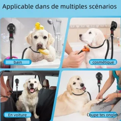 DTOPBUYAGE - Laisse à ventouse pour chien dtopbuyage